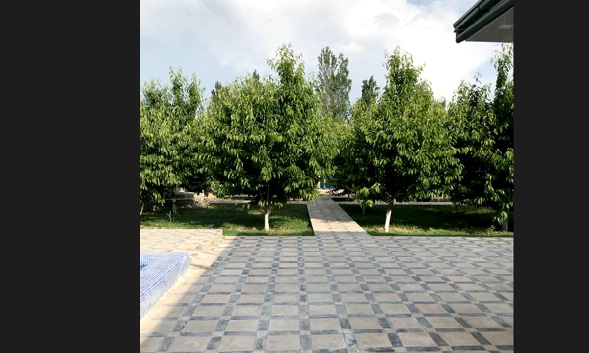 Dacha faqat oila uchun, Chirchiq 6